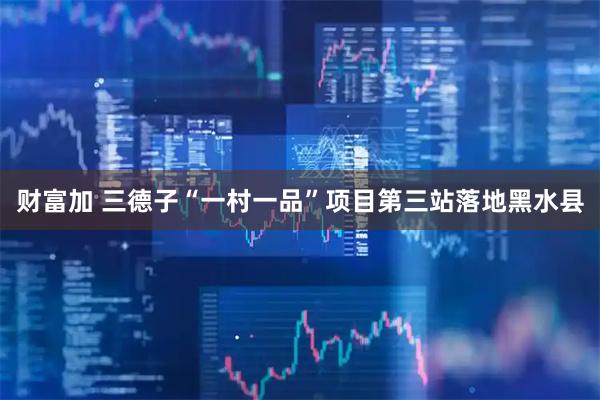 财富加 三德子“一村一品”项目第三站落地黑水县