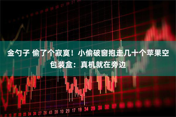 金勺子 偷了个寂寞！小偷破窗抱走几十个苹果空包装盒：真机就在旁边
