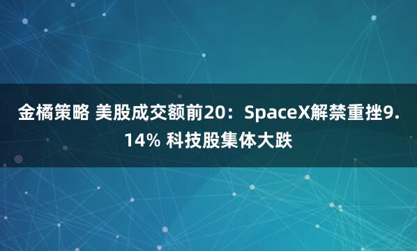 金橘策略 美股成交额前20：SpaceX解禁重挫9.14% 科技股集体大跌