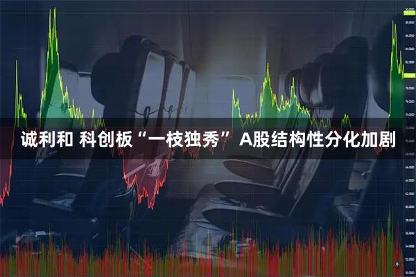 诚利和 科创板“一枝独秀” A股结构性分化加剧