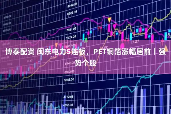 博泰配资 闽东电力5连板，PET铜箔涨幅居前丨强势个股