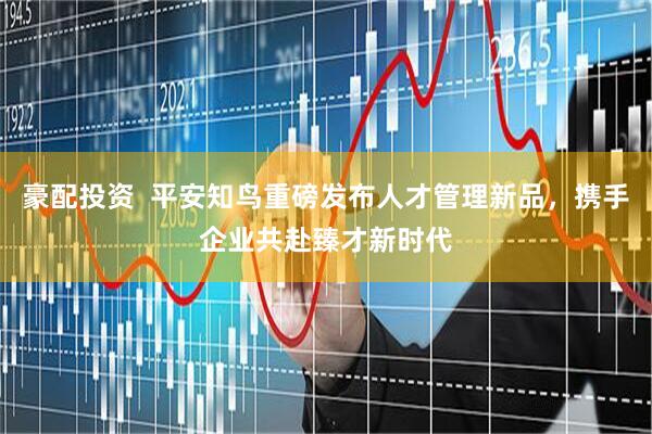 豪配投资  平安知鸟重磅发布人才管理新品，携手企业共赴臻才新时代