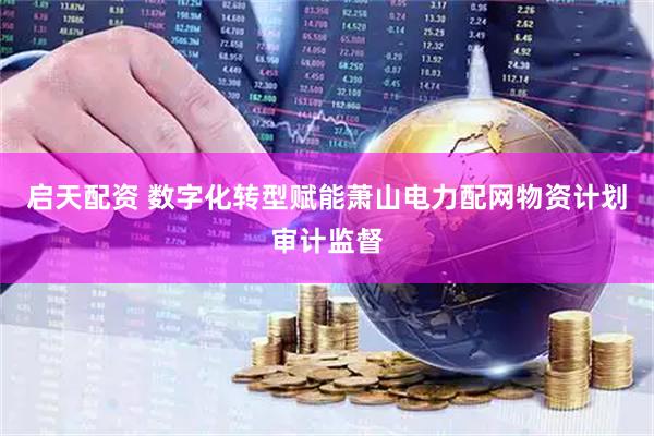 启天配资 数字化转型赋能萧山电力配网物资计划审计监督